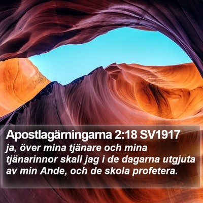 Apostlagärningarna 2:18 SV1917 Bible Verse Image