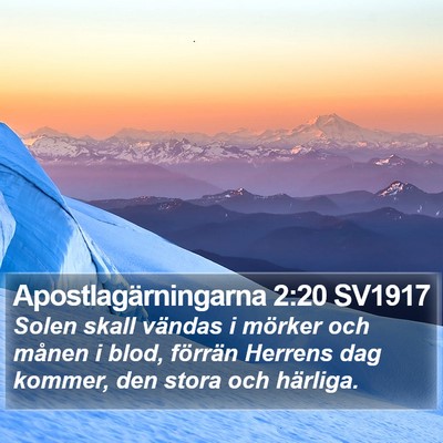 Apostlagärningarna 2:20 SV1917 Bible Verse Image