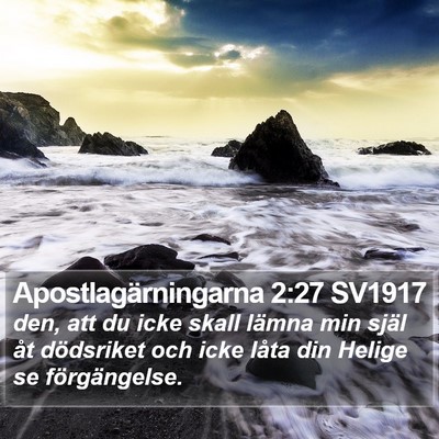 Apostlagärningarna 2:27 SV1917 Bible Verse Image