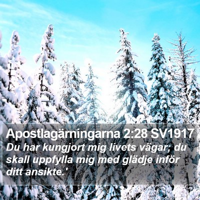 Apostlagärningarna 2:28 SV1917 Bible Verse Image
