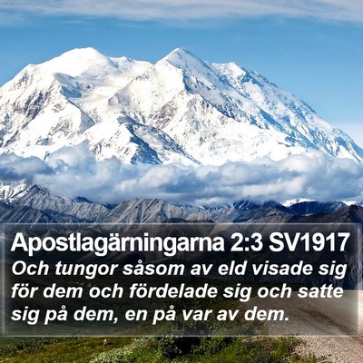Apostlagärningarna 2:3 SV1917 Bible Verse Image