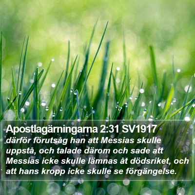 Apostlagärningarna 2:31 SV1917 Bible Verse Image