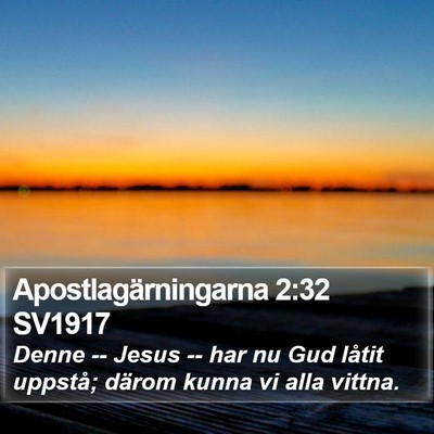 Apostlagärningarna 2:32 SV1917 Bible Verse Image