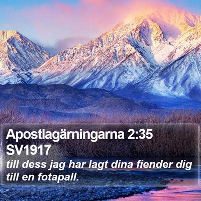 Apostlagärningarna 2:35 SV1917 Bible Verse Image
