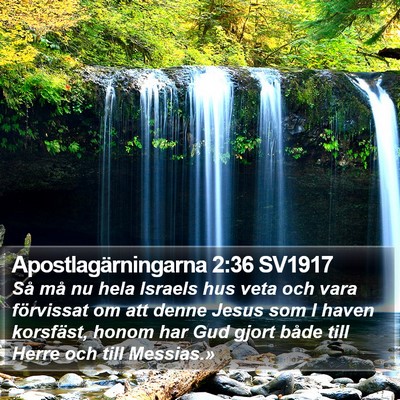 Apostlagärningarna 2:36 SV1917 Bible Verse Image