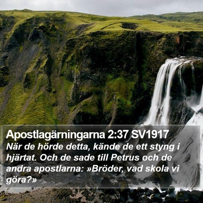 Apostlagärningarna 2:37 SV1917 Bible Verse Image