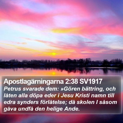 Apostlagärningarna 2:38 SV1917 Bible Verse Image