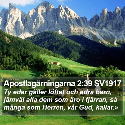 Apostlagärningarna 2:39 SV1917 Bible Verse Image