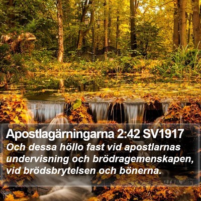 Apostlagärningarna 2:42 SV1917 Bible Verse Image