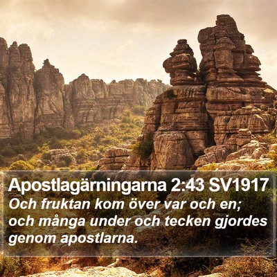 Apostlagärningarna 2:43 SV1917 Bible Verse Image