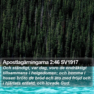 Apostlagärningarna 2:46 SV1917 Bible Verse Image