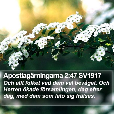 Apostlagärningarna 2:47 SV1917 Bible Verse Image