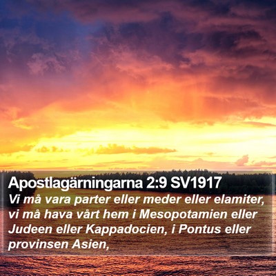 Apostlagärningarna 2:9 SV1917 Bible Verse Image