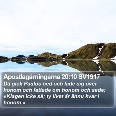 Apostlagärningarna 20:10 SV1917 Bible Verse Image