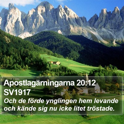 Apostlagärningarna 20:12 SV1917 Bible Verse Image