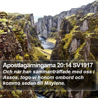 Apostlagärningarna 20:14 SV1917 Bible Verse Image