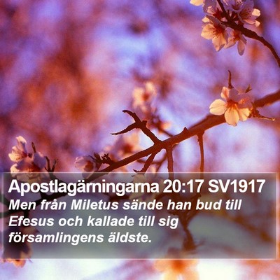 Apostlagärningarna 20:17 SV1917 Bible Verse Image