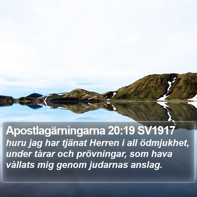 Apostlagärningarna 20:19 SV1917 Bible Verse Image