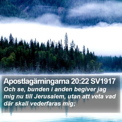 Apostlagärningarna 20:22 SV1917 Bible Verse Image