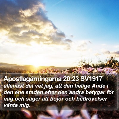 Apostlagärningarna 20:23 SV1917 Bible Verse Image