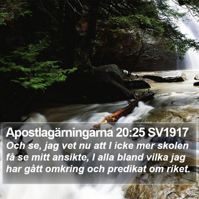 Apostlagärningarna 20:25 SV1917 Bible Verse Image
