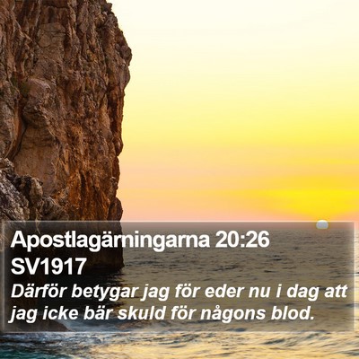 Apostlagärningarna 20:26 SV1917 Bible Verse Image