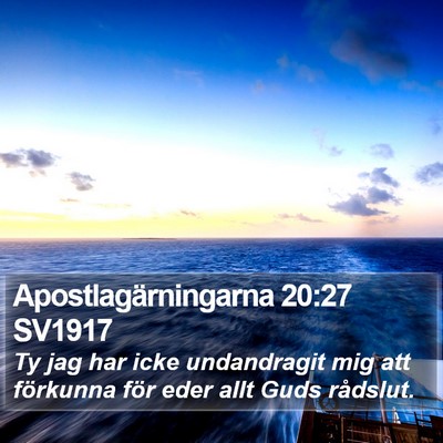 Apostlagärningarna 20:27 SV1917 Bible Verse Image