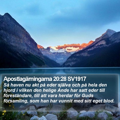 Apostlagärningarna 20:28 SV1917 Bible Verse Image