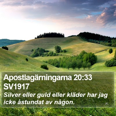 Apostlagärningarna 20:33 SV1917 Bible Verse Image