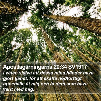 Apostlagärningarna 20:34 SV1917 Bible Verse Image
