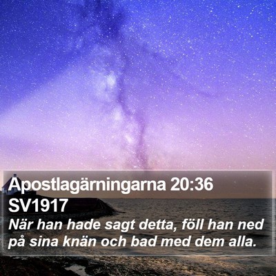 Apostlagärningarna 20:36 SV1917 Bible Verse Image