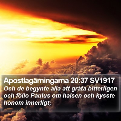 Apostlagärningarna 20:37 SV1917 Bible Verse Image
