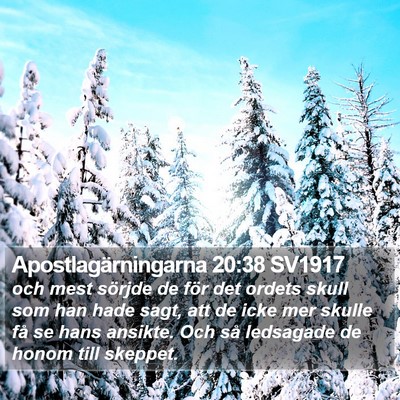 Apostlagärningarna 20:38 SV1917 Bible Verse Image