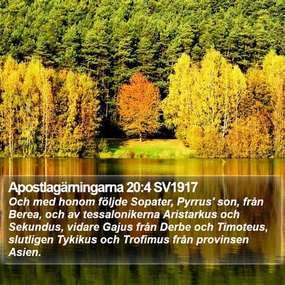 Apostlagärningarna 20:4 SV1917 Bible Verse Image