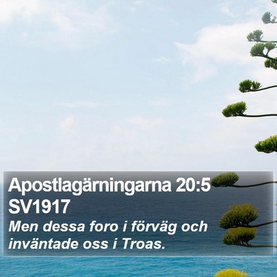 Apostlagärningarna 20:5 SV1917 Bible Verse Image