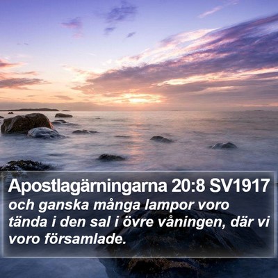 Apostlagärningarna 20:8 SV1917 Bible Verse Image