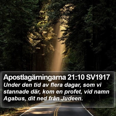 Apostlagärningarna 21:10 SV1917 Bible Verse Image