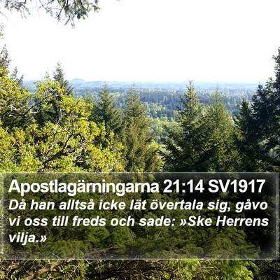 Apostlagärningarna 21:14 SV1917 Bible Verse Image