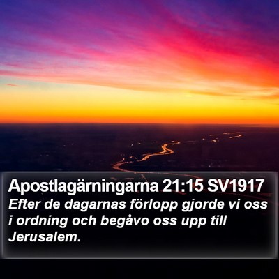 Apostlagärningarna 21:15 SV1917 Bible Verse Image