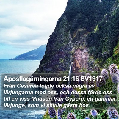 Apostlagärningarna 21:16 SV1917 Bible Verse Image