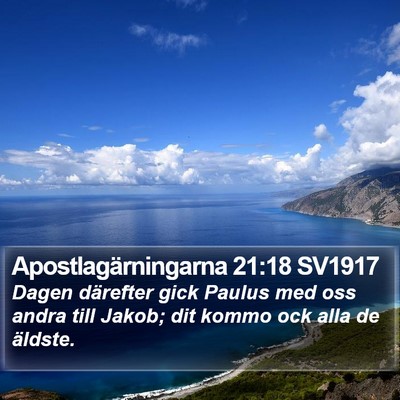 Apostlagärningarna 21:18 SV1917 Bible Verse Image