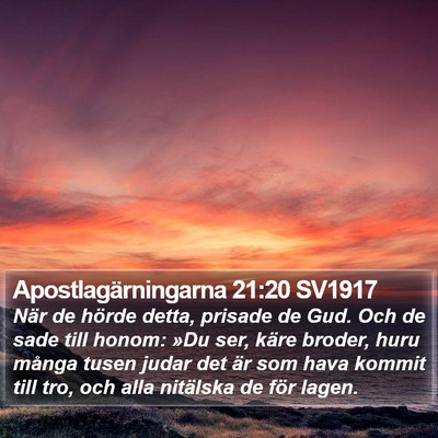 Apostlagärningarna 21:20 SV1917 Bible Verse Image