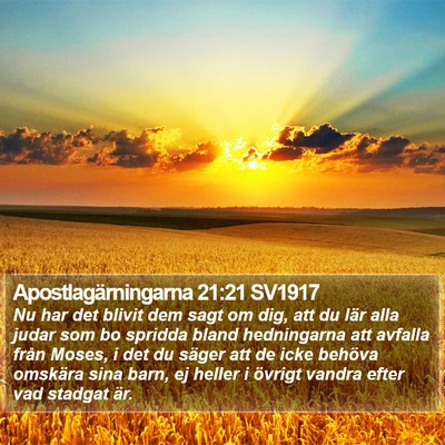 Apostlagärningarna 21:21 SV1917 Bible Verse Image