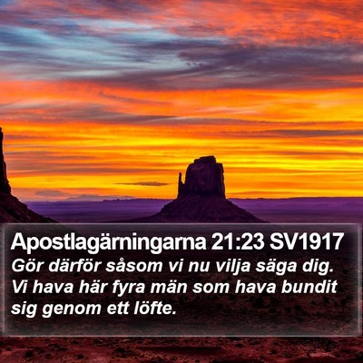 Apostlagärningarna 21:23 SV1917 Bible Verse Image