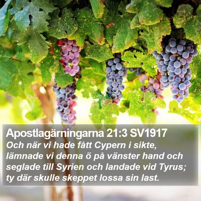 Apostlagärningarna 21:3 SV1917 Bible Verse Image