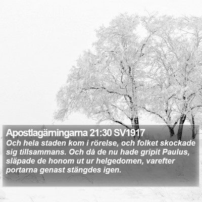 Apostlagärningarna 21:30 SV1917 Bible Verse Image