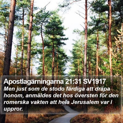 Apostlagärningarna 21:31 SV1917 Bible Verse Image