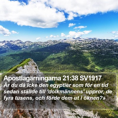 Apostlagärningarna 21:38 SV1917 Bible Verse Image