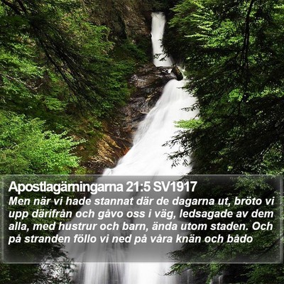Apostlagärningarna 21:5 SV1917 Bible Verse Image
