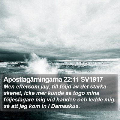 Apostlagärningarna 22:11 SV1917 Bible Verse Image